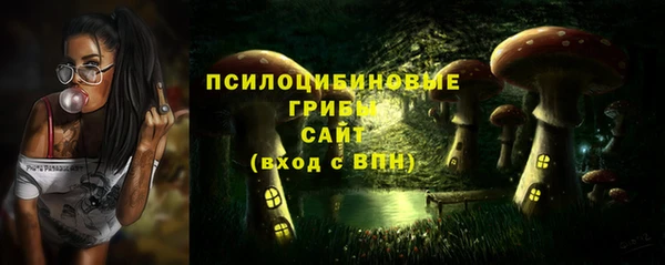 мет Магас