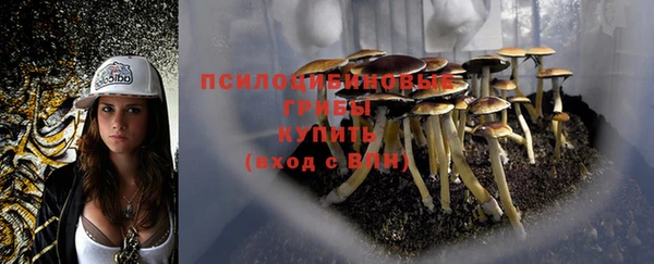 мет Магас