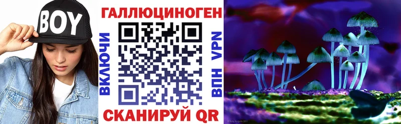 блэк спрут ссылки  Ядрин  Галлюциногенные грибы MAGIC MUSHROOMS 